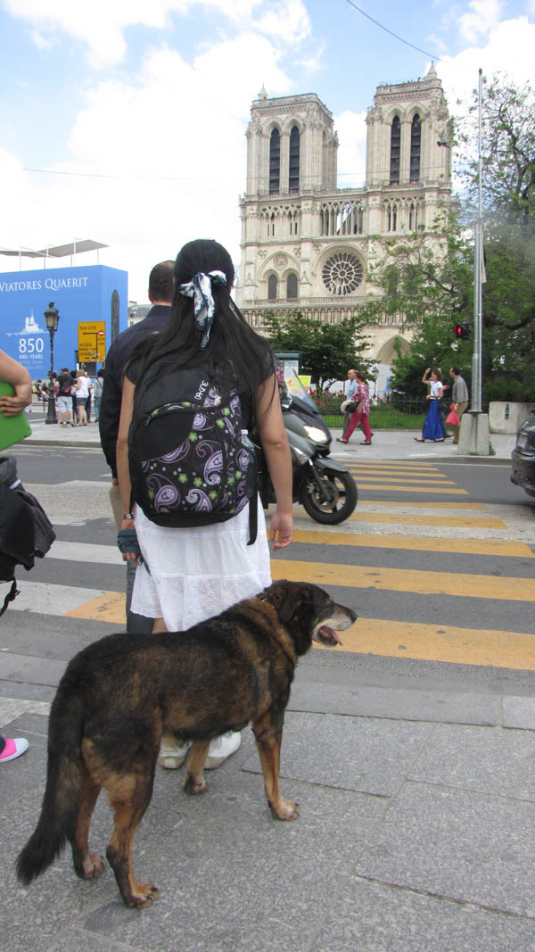 01_notre_dame_aussen