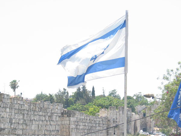 228_rockenfeller_mus