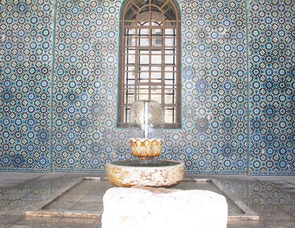 231_rockenfeller_mus