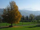 049_herbstbaum_st.gallen